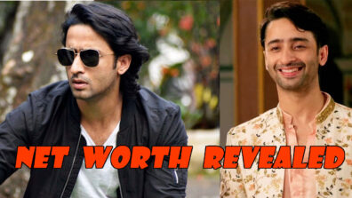 Yeh Rishtey Hai Pyaar Ke Actor Shaheer Sheikh’s Biography, Education And Net Worth REVEALED