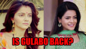 Shakti Astitva Ke Ehsaas Ki: Is Gulabo really back in Heer’s life?