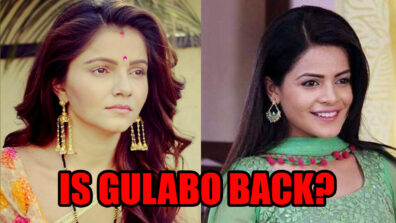 Shakti Astitva Ke Ehsaas Ki: Is Gulabo really back in Heer’s life?