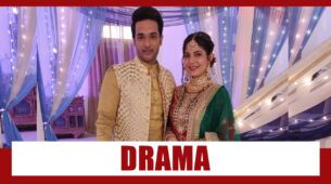 Shakti Astitva Ke Ehsaas Ki Spoiler Alert: Drama in Daljeet and Gurvinder’s marital life