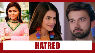 Shakti Astitva Ke Ehsaas Ki Spoiler Alert: Heer and Sohum to HATE Saumya