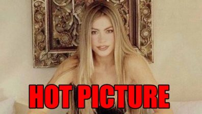 Sofia Vergara shares a hot throwback picture