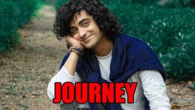 Sumedh Mudgalkar and his journey to playing Krishn