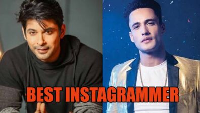 Vote For The Best INSTAGRAMMER: Asim Riaz Vs Sidharth Shukla