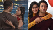 Yeh Rishtey Hain Pyaar Ke: Take A Look At Mishbir’s Journey Before Watching Latest Episodes