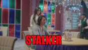 Yeh Rishtey Hain Pyaar Ke: When Mishti became stalker for Abir