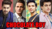Zain Imam, Asim Riaz, Parth Samthaan, Mohsin Khan: The best chocolate boy look?