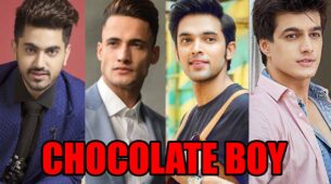 Zain Imam, Asim Riaz, Parth Samthaan, Mohsin Khan: The best chocolate boy look?
