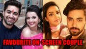 Zain Imam-Shrenu Parikh VS Zain Imam-Jasmin Bhasin: VOTE For Favourite On-Screen Couple