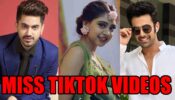 Zain Imam VS Niti Taylor VS Pearl V Puri: Whose TikTok Videos You Miss The Most?