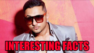 5 Amazing Facts About Yo Yo Honey Singh’s Career