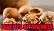 5 Most Miraculous Health And Beauty Benefits Of Walnut