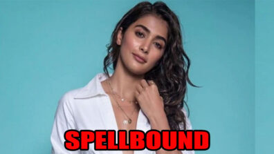 5 Times Pooja Hegde Left Us Spellbound