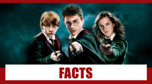 Are You Fan Of Harry Potter? These Facts You Should Know About Movie
