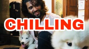 ‘Chilling with these boys’ – Vijay Deverakonda’s adorable photo with Storm & Chester is setting the internet on fire