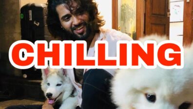 ‘Chilling with these boys’ – Vijay Deverakonda’s adorable photo with Storm & Chester is setting the internet on fire