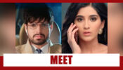 Choti Sarrdaarni Spoiler Alert: Vikram plans to meet Meher