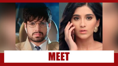 Choti Sarrdaarni Spoiler Alert: Vikram plans to meet Meher