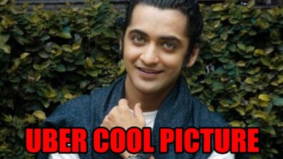 Divine personality Sumedh Mudgalkar aka Krishn from RadhaKrishn shares uber cool picture