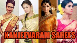 Divyanka Tripathi, Drashti Dhami, Sanaya Irani, Shivangi Joshi:  Actresses Who Flaunted In Kanjeevaram Saree