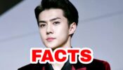 Everything You Should Know About EXO’s Sehun