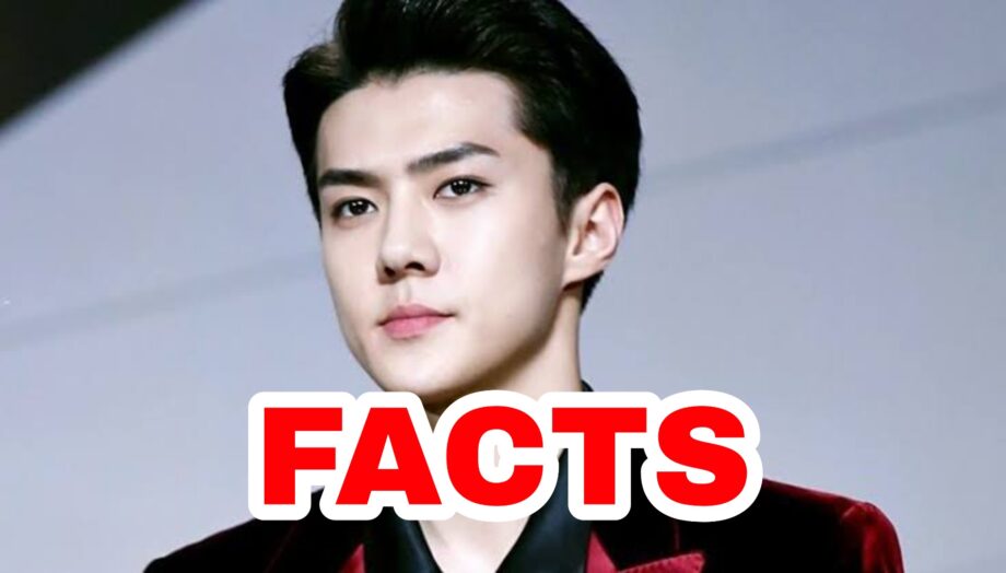 Everything You Should Know About EXO's Sehun