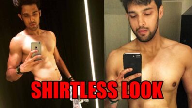 Everytime Parth Samthaan’s Shirtless Look Leaves Fans In Awe