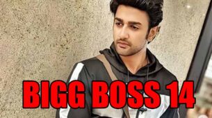 Guddan Tumse Na Ho Payega fame Nishant Singh Malkani in Bigg Boss 14?
