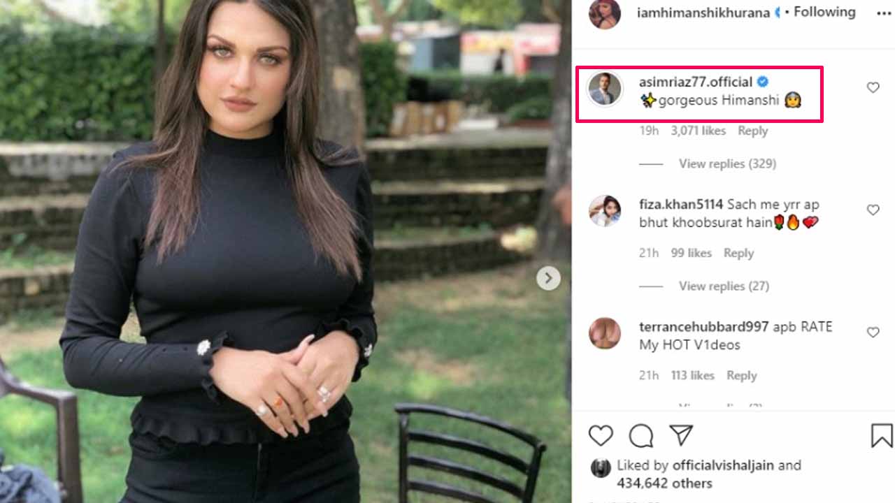 Himanshi Khurana shares latest stunning pictures, Asim Riaz comments 'gorgeous Himanshi'