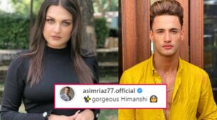 Himanshi Khurana shares latest stunning pictures, Asim Riaz comments ‘gorgeous Himanshi’