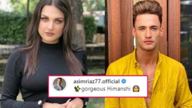 Himanshi Khurana shares latest stunning pictures, Asim Riaz comments ‘gorgeous Himanshi’