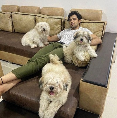 Jennifer Winget, Parth Samthaan, Nia Sharma: TV Celebrities And Their Pictures With Cute Pets Will Make You Smile - 3