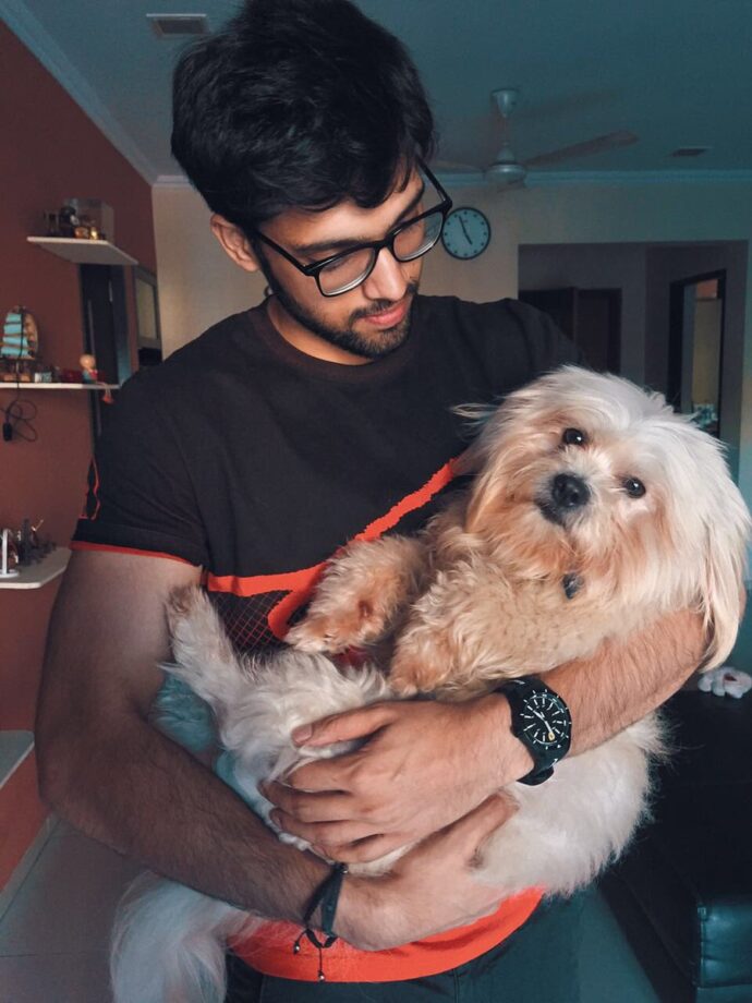 Jennifer Winget, Parth Samthaan, Nia Sharma: TV Celebrities And Their Pictures With Cute Pets Will Make You Smile - 4