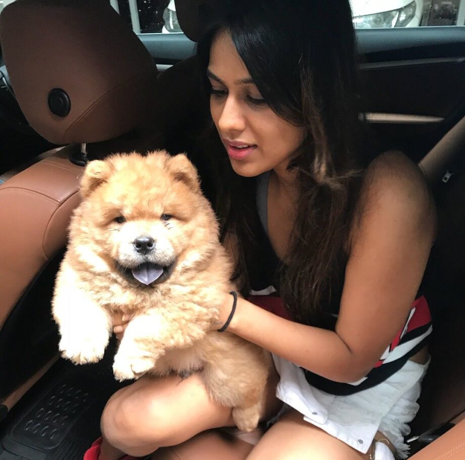 Jennifer Winget, Parth Samthaan, Nia Sharma: TV Celebrities And Their Pictures With Cute Pets Will Make You Smile - 5