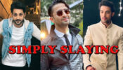 Karan Wahi, Parth Samthaan, Shaheer Sheikh: Check Out How Actors Are Slaying Basic Dresses