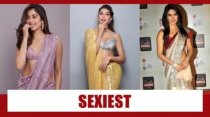 Katrina Kaif Vs Jacqueline Fernandez Vs Priyanka Chopra: Who Is The Attractive Actress In A Georgette Sequence Saree?