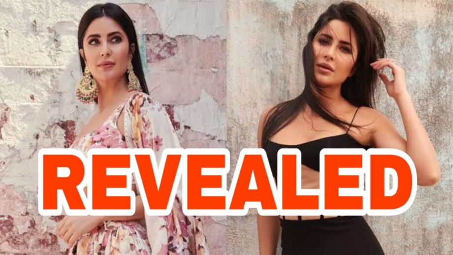 Katrina Kaif’s Biography, Education And Net Worth Revealed