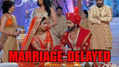 Kundali Bhagya spoiler alert: Karan and Mahira’s marriage to get delayed