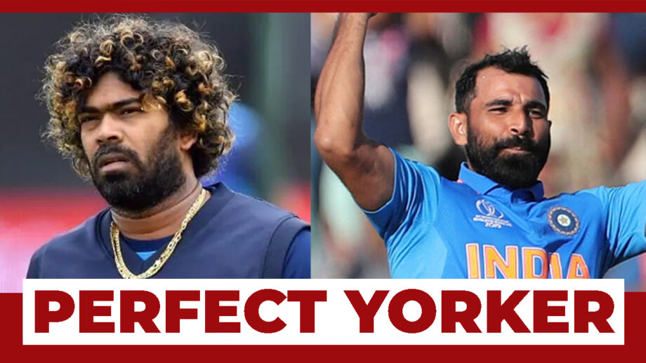 Lasith Malinga Vs Mohammad Shami: Who Has The Perfect Yorker?