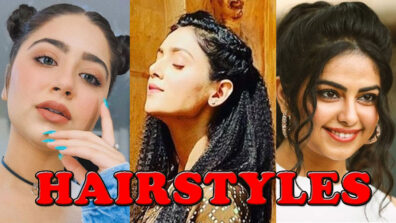 Mallika Singh, Avika Gor, Aditi Bhatia: Simple But Extremely Elegant Hairstyles For Long Hair