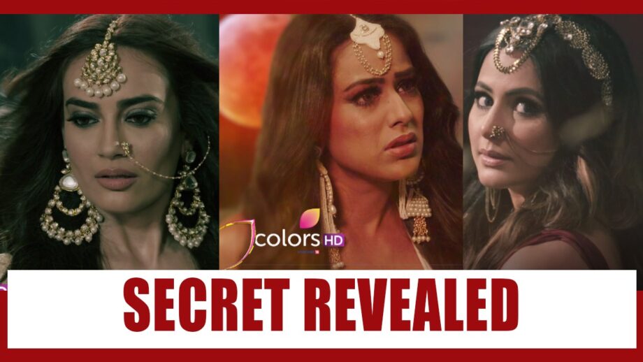 Naagin 5: Sarvashrestha Naagin to REVEAL the secret behind Naag Mani