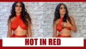 Naagin fame Nia Sharma sets internet on fire with her latest hot red picture