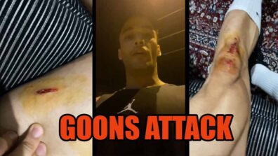 OMG: Goons attack Bigg Boss fame Asim Riaz, injure him