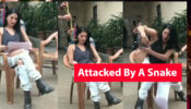 OMG: When She was attacked by a snake