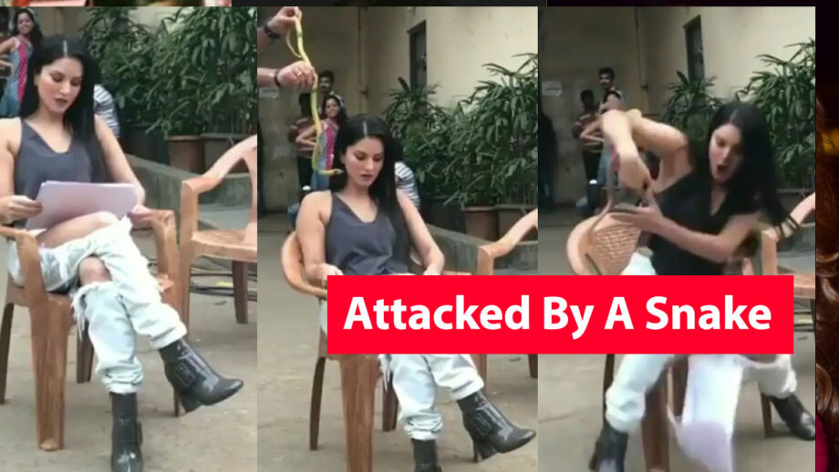 OMG: When Sunny Leone was attacked by a snake