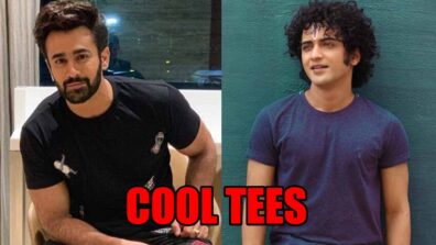 Pearl V Puri To Sumedh Mudgalkar: 5 Actors Who Flaunted Cool Tees