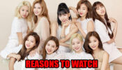 Reasons You Should Definitely Watch TWICE Perform Live!