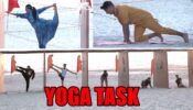 Roadies Revolution: Yoga asanas test for contestants and leaders