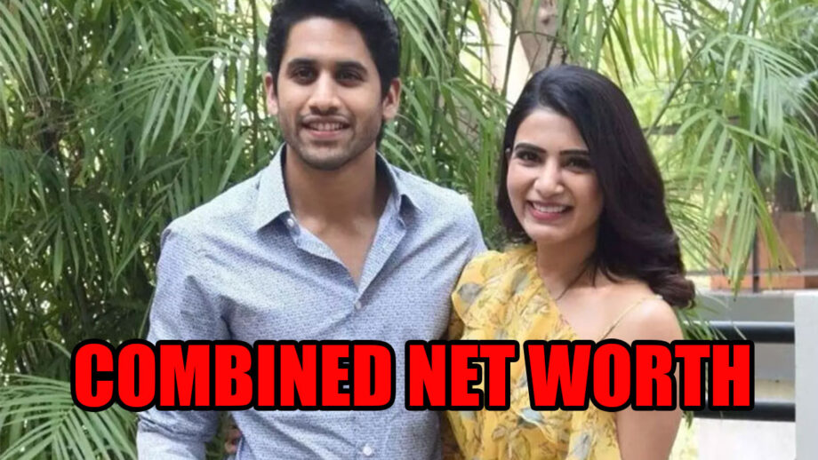 Samantha Akkineni And Naga Chaitanya's Joint Net Worth Will Simply Shock You 1