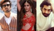 Surbhi Chandna, Mohit Sehgal and Sharad Malhotra on Naagin 5
